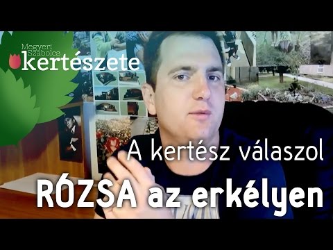 Videó: Betonfestés: 10 lépés (képekkel)