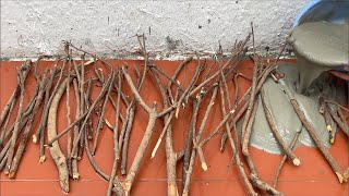 Decoration Ideas At Home With Twigs And Cement . How To Make Coffee Table Very Beautiful And Easy .