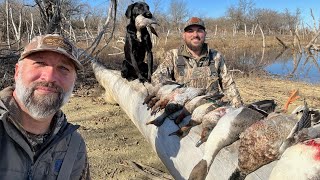 Duck Hunt 2023: A Perfect Day of Taking Turns for Our Limit / Day 2 With Falling Tide TV