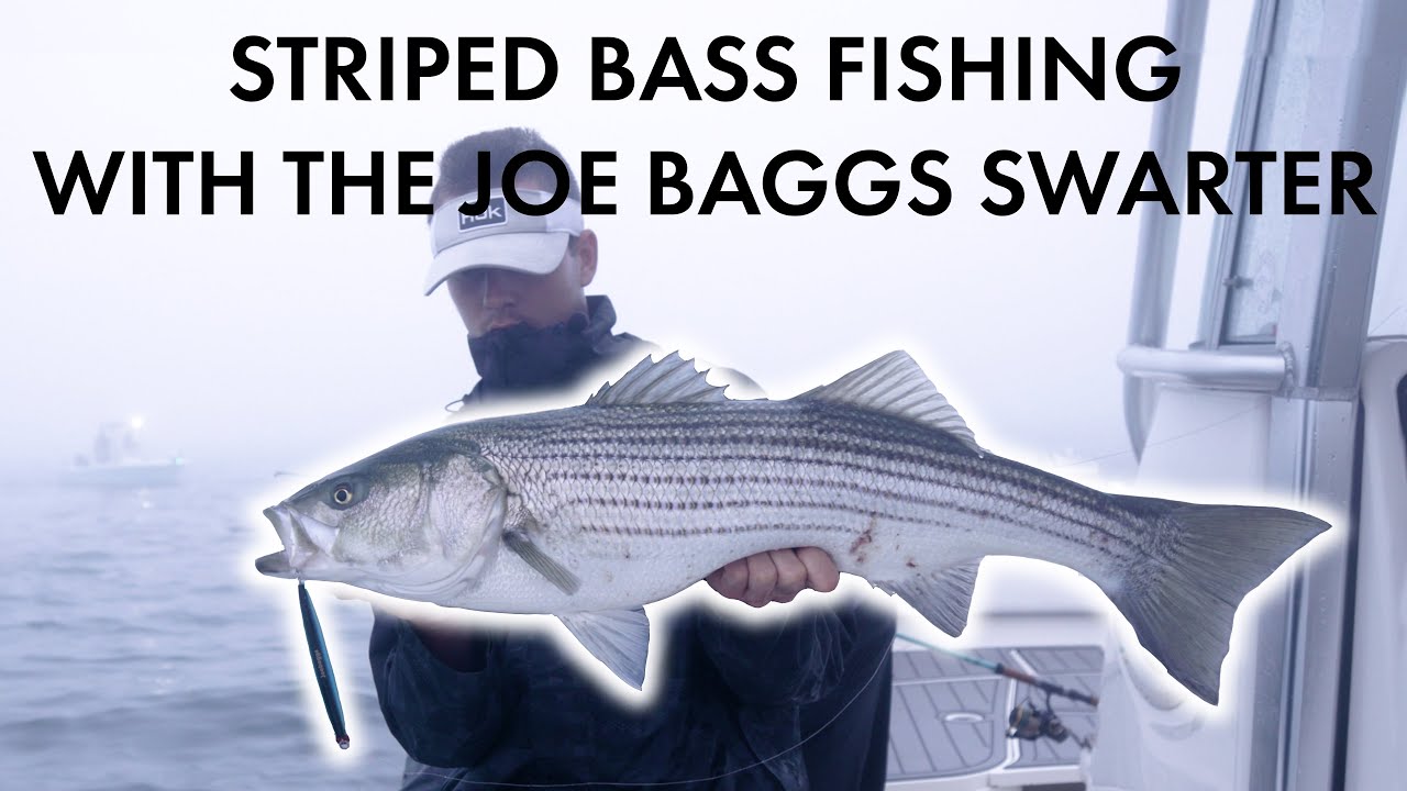 Striped Bass Fishing with the Joe Baggs Swarter Field Test Favorite