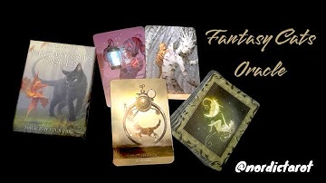 Fantasy Cats oracle - Paolo Barbieri