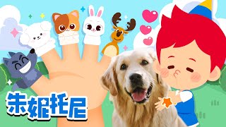 🌟朱妮托尼🌟11月推荐儿歌 | 人气精选 | 儿歌合集 | Kids Song in Chinese | 兒歌童謠 | 卡通動畫 | 朱妮托尼童話故事 | JunyTony