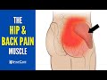 The lower back and hip pain muscle how to release it for instant relief