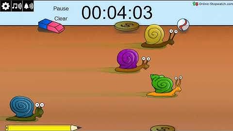 9 Minute Snail Racing Timer (slow)