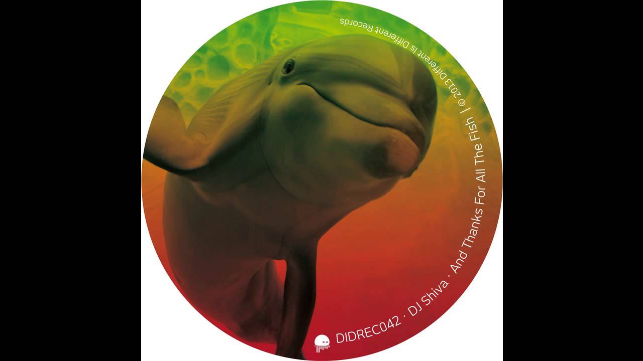 DJ Shiva - Hackjammer (Original Mix) auf YouTube ansehen DJ Shiva - Hackjammer (Original Mix) auf YouTube ansehen