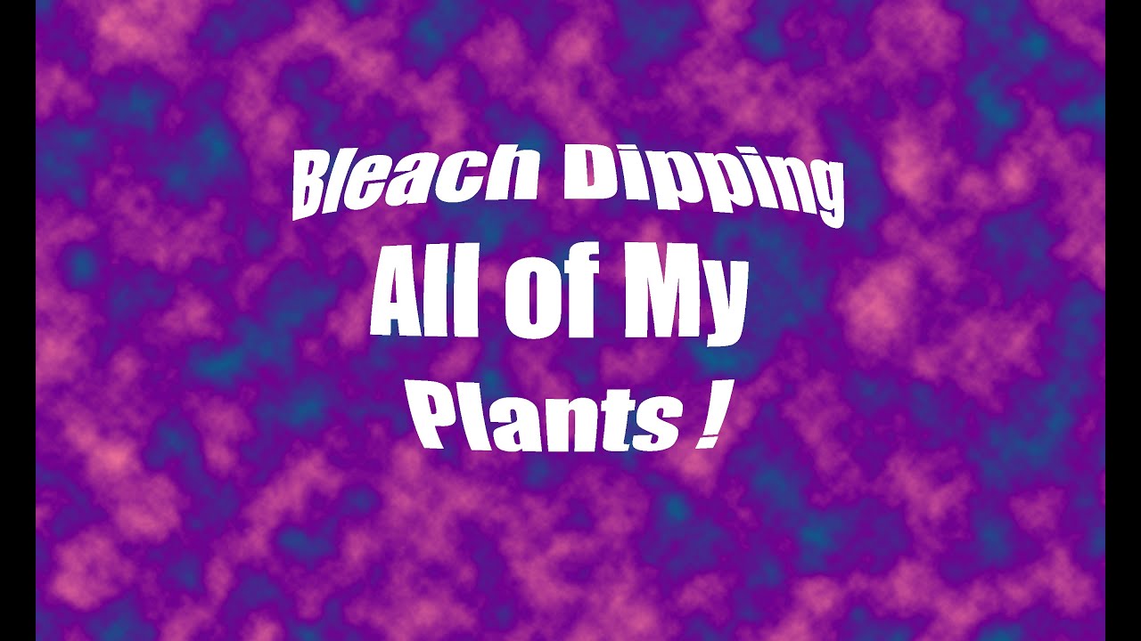 aquascaping plants Video 7 Dealing with the 33 gallon sess pool