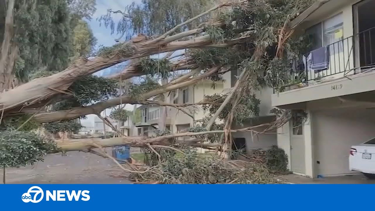 Ongoing power outages leave thousands in Bay Area longing for sense of ...