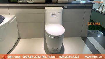 TDM.VN | Review bồn cầu Caesar CD1364 - Bàn cầu 1 khối C1364-PW mẫu đẹp cao cấp chính hãng