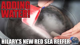 Making & Adding SALTWATER To Your Aquarium - Hilary's New Red Sea Reefer