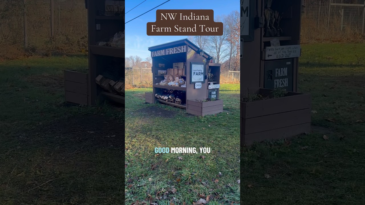 22.11.2025 Экскурсия по фермерскому стенду 