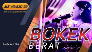 MZ MUSIC 99 | Bokek Berat | SP4 PEDU DESA TANAH LUMPUR | SHAPA WG CHANNEL