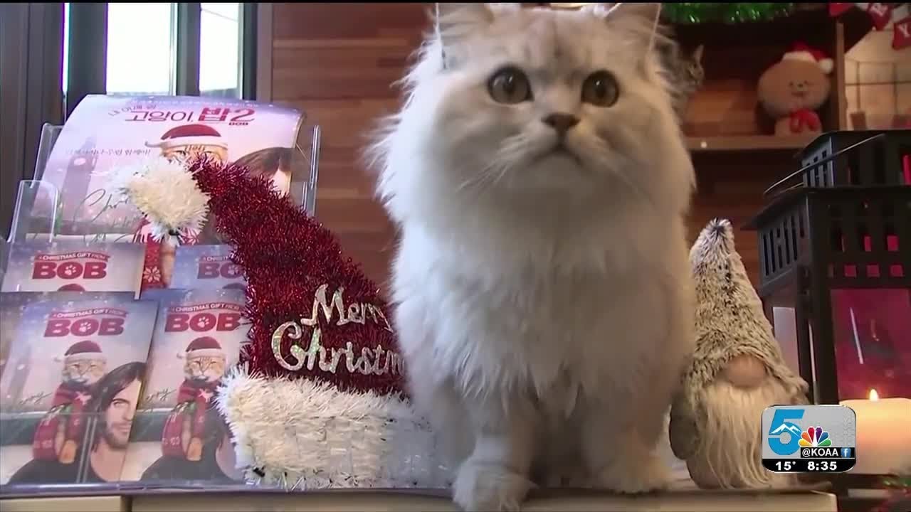 How to keep your pets away from your holiday decorations