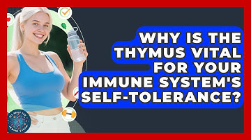 Why Is The Thymus Vital For Your Immune System