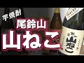 【芋焼酎】尾鈴山 山ねこをレビューしてみました 香り高い