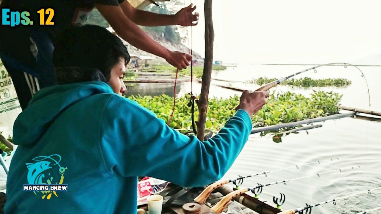 Mancing ikan di jatiluhur - Eps. 12 | #fishhunting #mancingikan 