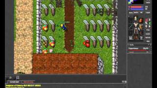 Tibia For Newbie- Fanfare Quest