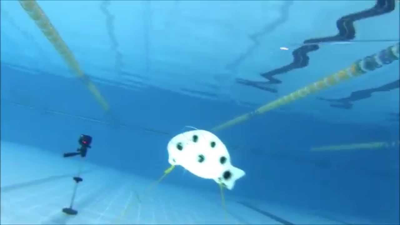 Cyrano Evo Hf 100 con X-Power STC Test su Bersaglio...