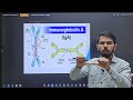 7th Lecture Microbiology (IgA, IgM antibodies)