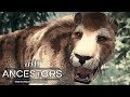 ДЕТЁНЫШИ В БЕДЕ ► Ancestors: The Humankind Odyssey #7