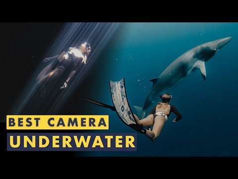 Underwater Photography with GoPro