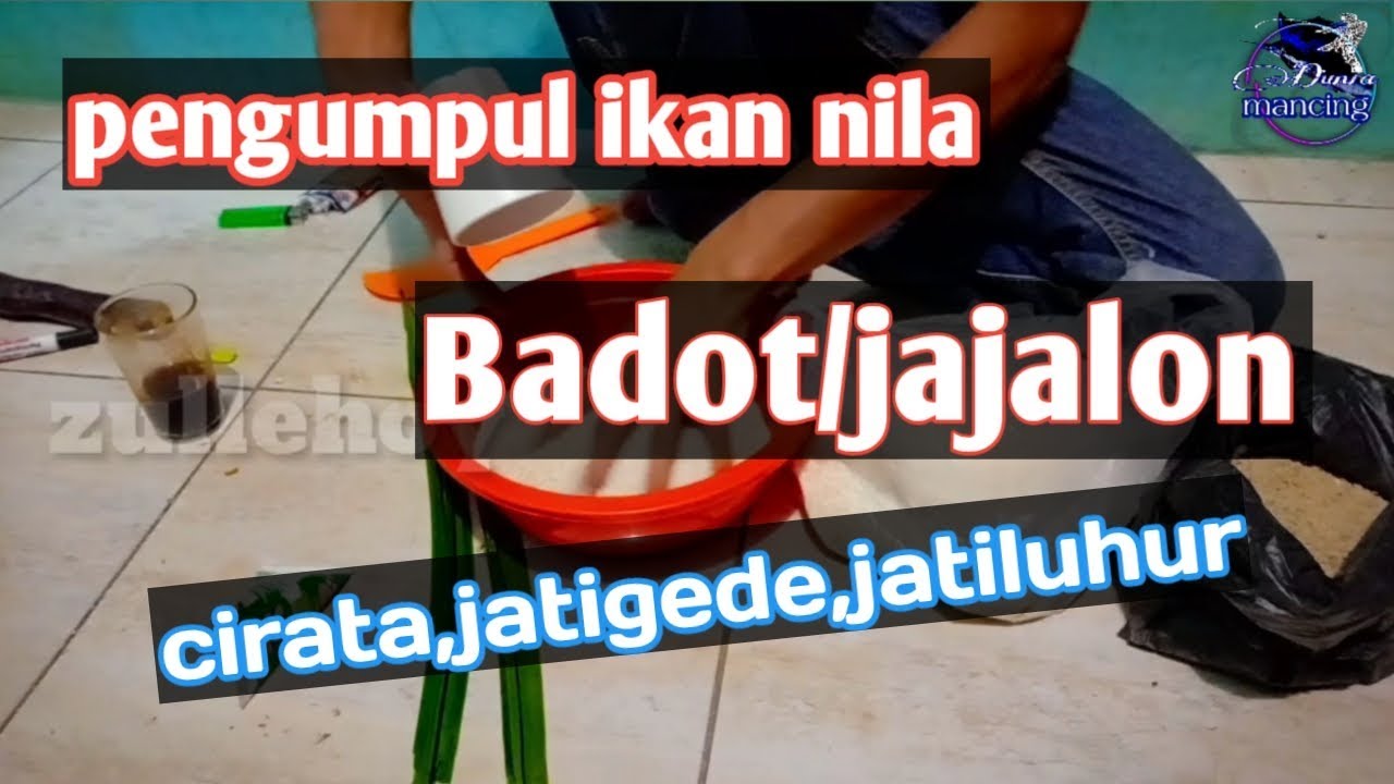 umpan pengumpul ikan nila badot jajalon cirata jatigede jatiluhur