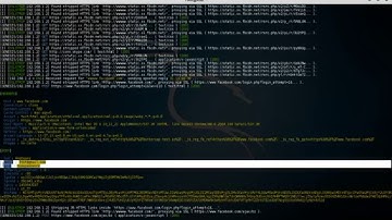 SSL Stripping and HSTS Bypass with BetterCap