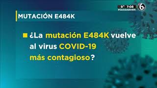 Lo Que Sabemos Dela Mutación E484K Detectada En Jalisco