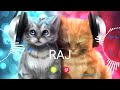 RAJ Name Ringtone || RAJ naam ki ringtone | RAJ name smart ringtone | iphone ringtone