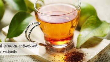 Gano Excel The Power of Ganoderma Lucidum