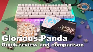 Glorious Panda (Glorious Holy Panda) Quick Review and Tactility Comparison