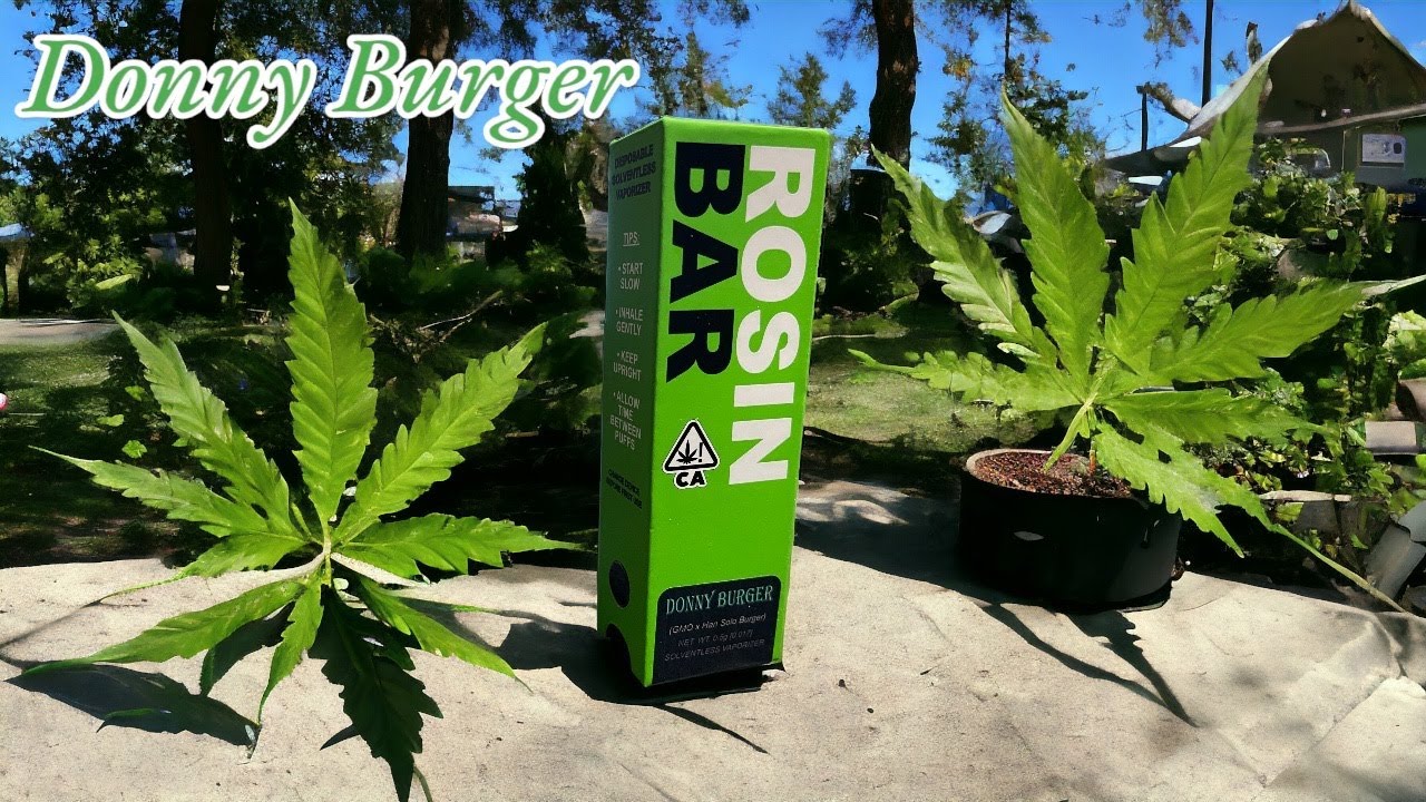 Reviewing: Rosin Bar Pen | Strain: Donny Burger