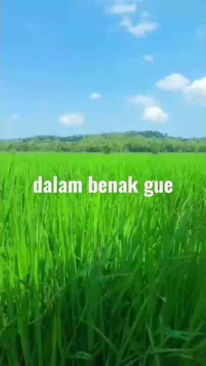 STORY WA TUKANG OJEK: DHYO HAW - CEPU
