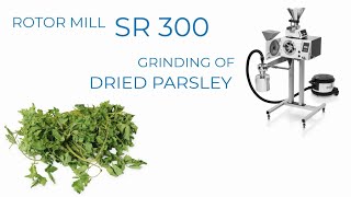 Fine grinding of dried parsley in Cutting Mill SM 300 -RETSCH