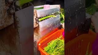 The most practical mini bamboo shoot peeling machine #shorts #machine #smartideas
