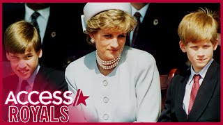Prince Harry & Prince William Will Split Princess Diana’s Memorial Fund