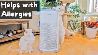 How Does An Air Purifier Work (Remove Pet Dander, Dust, Pollen, and More) | The Cat Butler