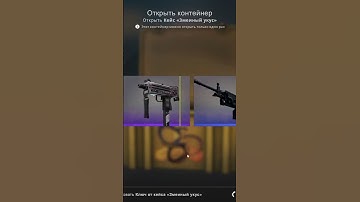 [9] - Snakebite Case