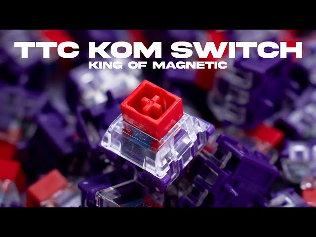 TTC Magnetic Switches, Linear Switches, Silent Mechanical Switches, Factory Pre-lubed Switches for Mechanical Keyboard Wooting/Rakka/Melgeek/APEX PRO (15 TTC Magnetic Switches, Linear Switches, Silent Mechanical Switches, Factory Pre-lubed Switches for Mechanical Keyboard Wooting/Rakka/Melgeek/APEX PRO (15