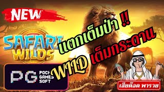 สล็อตpg : แตกเต็มป่า WILD เต็มกระดาน สล็อตเว็บตรง สล็อตพีจี