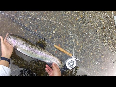 Mosche Per Pesca A Mosca Tradizionale 6 Mosche Tenkara Modello Kebari #12 - Esca Per Pesca A Mosca Tradizionale Giapponese, Legata Con Pelo Di Lepre 6 Pezzi Mosche Tenkara - Foto 4
