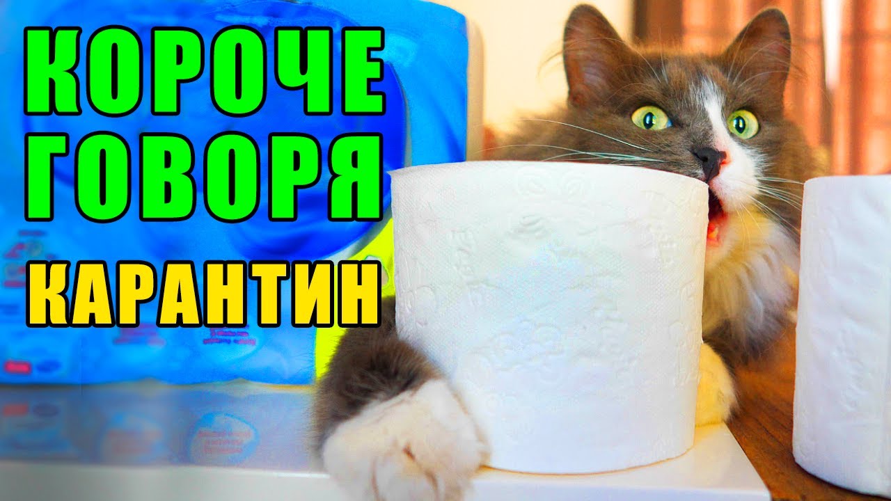 Magic Pets Новые Видео 2022 Года Magic Pets Новые Видео 2022 Года