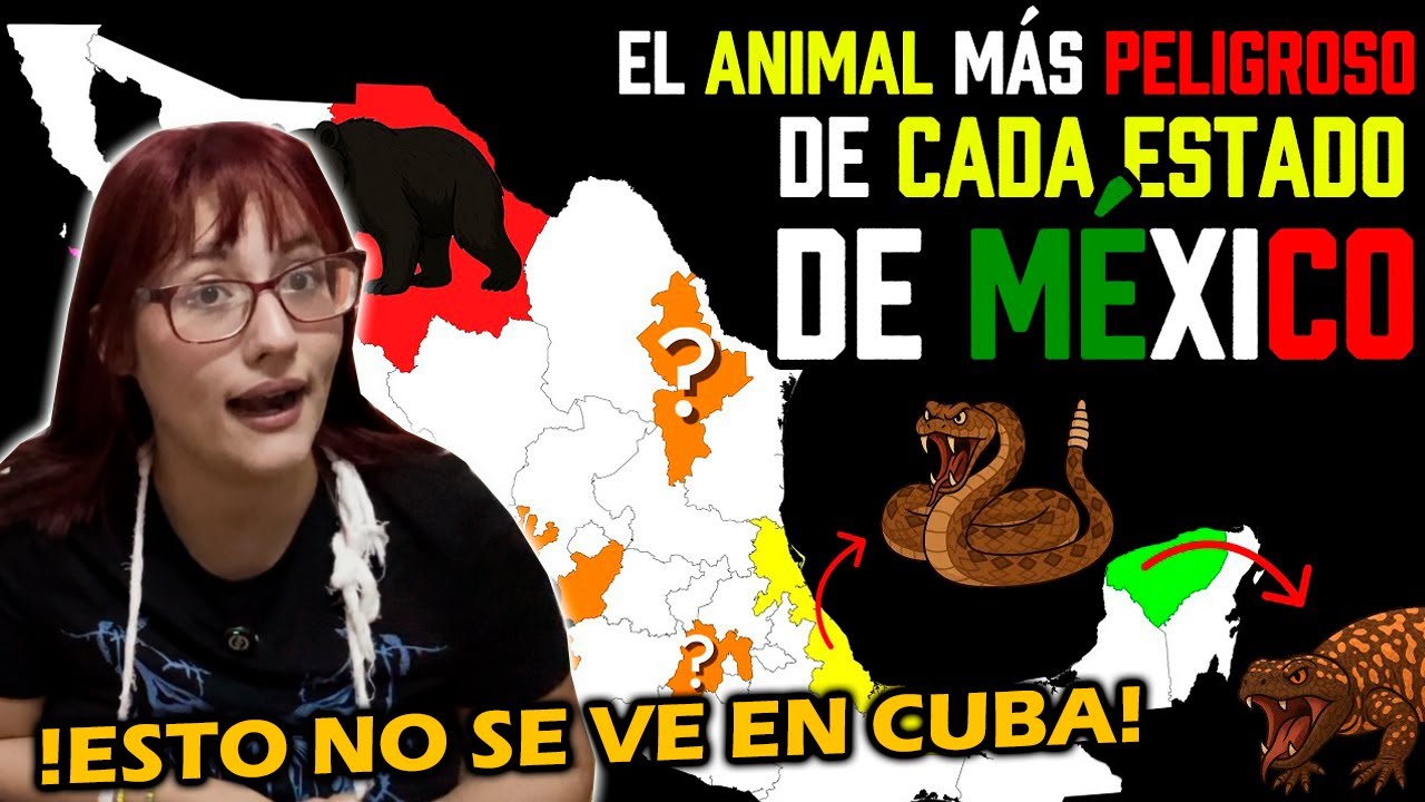 Los animales Más LETALES de cada estado de MÉXICO - CUBANA REACCIONA