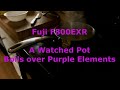 Fuji F800EXR -- Demonstrating the "purple heat syndrome"