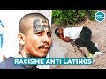 Racisme anti latinos espagne  leffet papillon