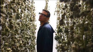 Six Labs Tour: An Exclusive Look Into A Premier Cannabis Facility