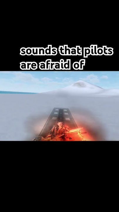 звуки которые боятся пилоты #flight #pilots #captain #aviation #planes ...