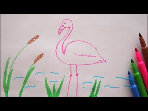 Video: Wie Zeichnet Man Einen Flamingo