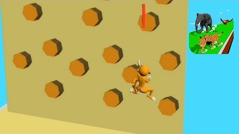 Animal  Transform  - All Levels Gameplay - Android, IOS Gameplay