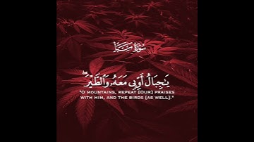 ولقد آتينا داوود منا فضلا يا جبال أوبي معه والطير وألنا له الحديد | سورة سبأ | القارئ ناصر القطامي