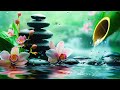 Relaxing music relieves stress  sounds of nature and water sound help anxiety and depression